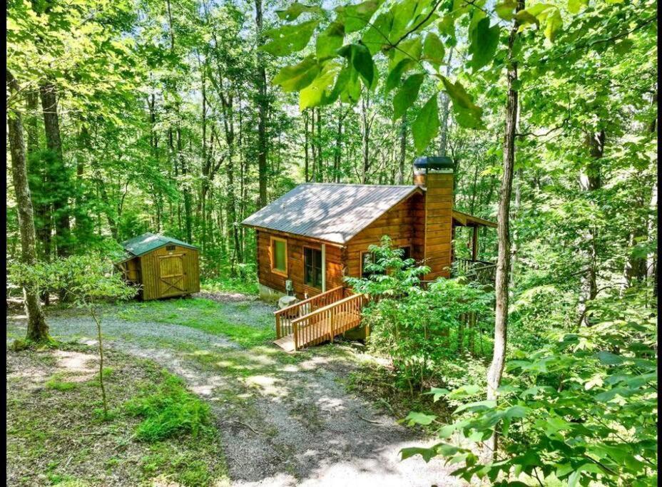 Open Studio Lodge At Little Rock Creek Cherry Log Eksteriør bilde
